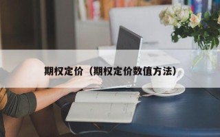 期权定价（期权定价数值方法）