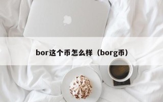 bor这个币怎么样（borg币）