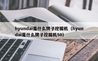 hyundai是什么牌子挖掘机（hyundai是什么牌子挖掘机50）