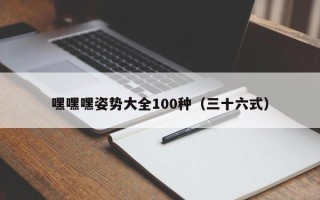 嘿嘿嘿姿势大全100种（三十六式）