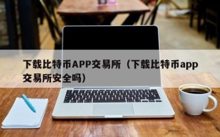 下载比特币APP交易所（下载比特币app交易所安全吗）