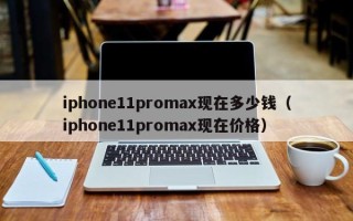 iphone11promax现在多少钱（iphone11promax现在价格）