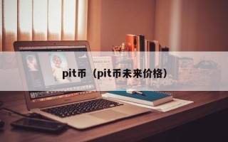 pit币（pit币未来价格）