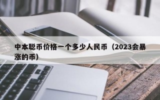 中本聪币价格一个多少人民币（2023会暴涨的币）