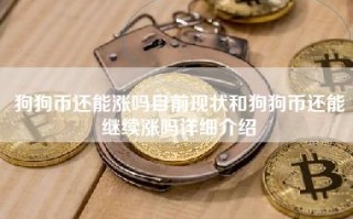 狗狗币还能涨吗目前现状和狗狗币还能继续涨吗详细介绍