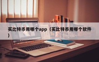 买比特币用哪个app（买比特币用哪个软件）