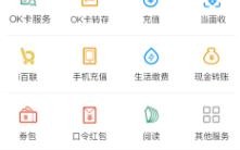 虚拟币okpay钱包app下载_okpay钱包app下载官方版v5.4.1.8