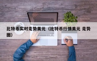 比特币实时走势美元（比特币行情美元 走势图）