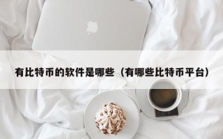 有比特币的软件是哪些（有哪些比特币平台）