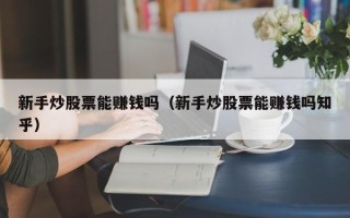 新手炒股票能赚钱吗（新手炒股票能赚钱吗知乎）