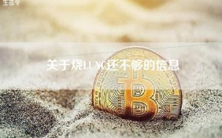 关于烧LUNC还不够的信息