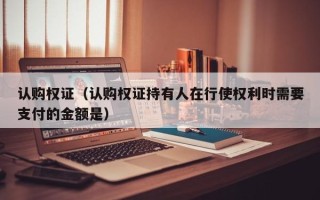 认购权证（认购权证持有人在行使权利时需要支付的金额是）