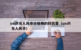 usdt兑人民币价格降的好厉害（usdt 兑人民币）