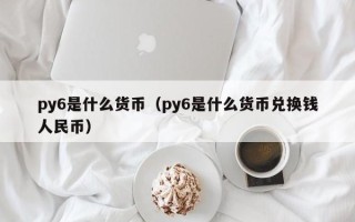 py6是什么货币（py6是什么货币兑换钱人民币）