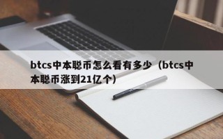 btcs中本聪币怎么看有多少（btcs中本聪币涨到21亿个）