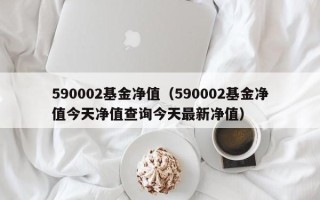 590002基金净值（590002基金净值今天净值查询今天最新净值）