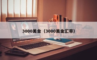 3000美金（3000美金汇率）