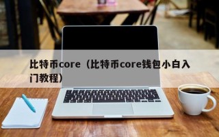 比特币core（比特币core钱包小白入门教程）