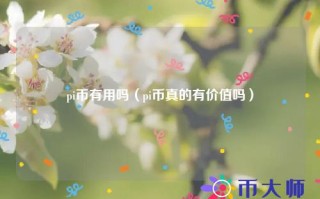 pi币有用吗（pi币真的有价值吗）