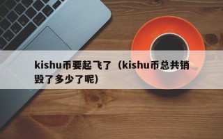 kishu币要起飞了（kishu币总共销毁了多少了呢）