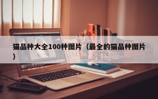 猫品种大全100种图片（最全的猫品种图片）