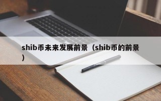 shib币未来发展前景（shib币的前景）