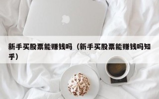 新手买股票能赚钱吗（新手买股票能赚钱吗知乎）