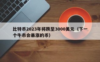 比特币2023年将跌至3000美元（下一个牛市会暴涨的币）