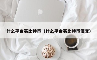 什么平台买比特币（什么平台买比特币便宜）