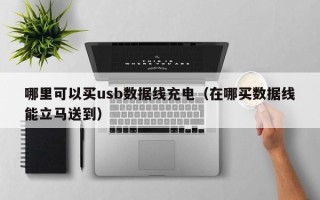 哪里可以买usb数据线充电（在哪买数据线能立马送到）