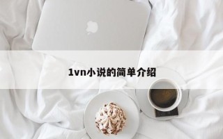 1vn小说的简单介绍