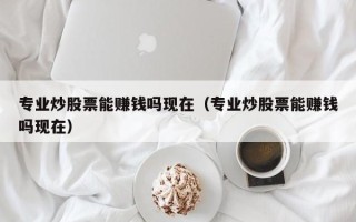 专业炒股票能赚钱吗现在（专业炒股票能赚钱吗现在）