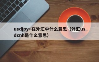 usdjpy+在外汇中什么意思（外汇usdcnh是什么意思）