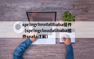 springcloudalibaba组件（springcloudalibaba组件seata注解）