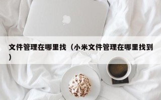 文件管理在哪里找（小米文件管理在哪里找到）