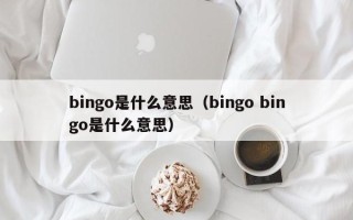 bingo是什么意思（bingo bingo是什么意思）