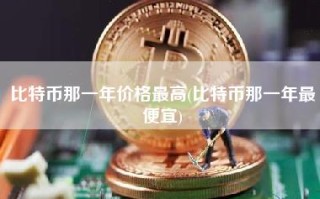 比特币那一年价格最高(比特币那一年最便宜)