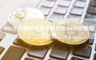 BHG币升值快吗具体解答和bhd币行情细致分析