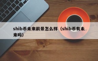 shib币未来前景怎么样（shib币有未来吗）