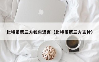 比特币第三方钱包语言（比特币第三方支付）