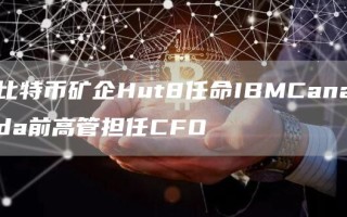 比特币矿企Hut8任命IBMCanada前高管担任CFO