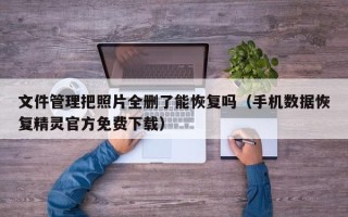 文件管理把照片全删了能恢复吗（手机数据恢复精灵官方免费下载）