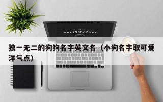 独一无二的狗狗名字英文名（小狗名字取可爱洋气点）