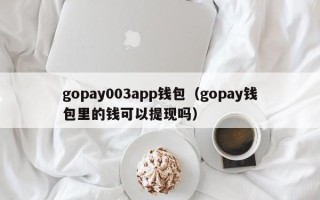 gopay003app钱包（gopay钱包里的钱可以提现吗）