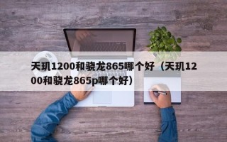 天玑1200和骁龙865哪个好（天玑1200和骁龙865p哪个好）