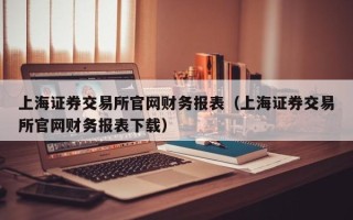 上海证券交易所官网财务报表（上海证券交易所官网财务报表下载）