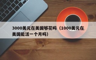 3000美元在美国够花吗（1000美元在美国能活一个月吗）