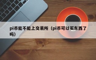 pi币能不能上交易所（pi币可以买东西了吗）