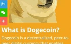 DOGECOIN平台app手机版下载_DOGECOIN平台app安卓版下载v6.5