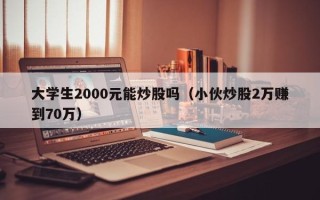 大学生2000元能炒股吗（小伙炒股2万赚到70万）